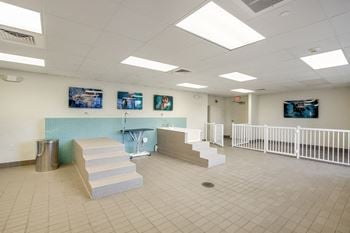 Amenities-indoor pet wash station